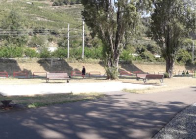 Aménagement paysager des berges du Rhône et du site du bac a traille Ampuis (69)